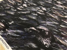 Gothicインクジェットシーチングプリント「Crow」_拡大イメージ