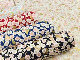 「百華繚蘭」輝く猫と満開の桜_拡大イメージ