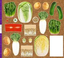 とれたてお野菜！八百屋さんのパネルシーチングプリント白菜