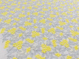 Exclusive Collection 特別な木の実刺しゅうのコットンローンレース_拡大イメージ