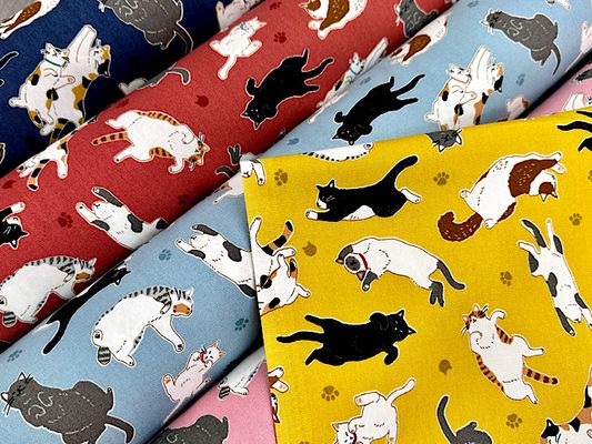 すやすや眠る猫さんのオックスプリント