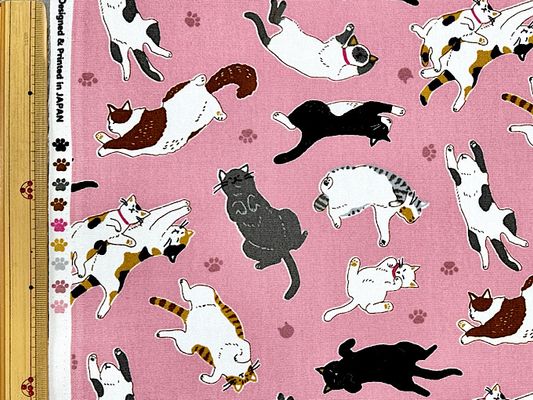 すやすや眠る猫さんのオックスプリント