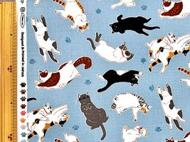 すやすや眠る猫さんのオックスプリント_拡大イメージ