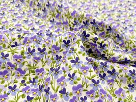 コットンこばやし ブロードプリント「ビオラ・ガーデン」ラベンダー系