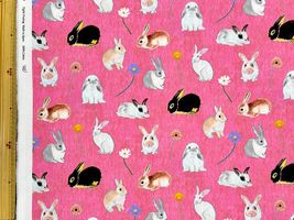 『nora.』野原のうさぎ達のシーチングプリント_拡大イメージ