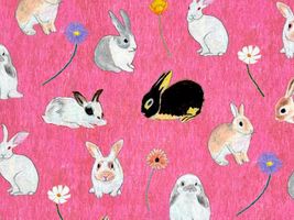 『nora.』野原のうさぎ達のシーチングプリントピンク
