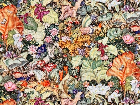 『nora.』ヴィンテージイラストのシーチングプリント