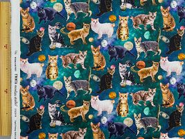 『nora.』シーチングプリント「DAYDREAM CAT」_拡大イメージ