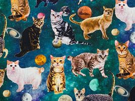 『nora.』シーチングプリント「DAYDREAM CAT」ブルーグリーン系