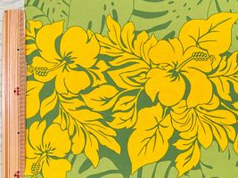 T/Cハワイアンプリント「ハイビスカスボーダー」ライトグリーン