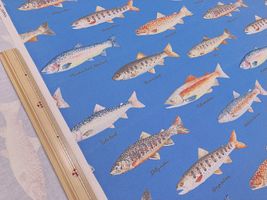 コットンこばやし 淡水魚のツイルプリントブルー