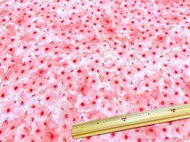 満開の桜のシーチングプリント_拡大イメージ
