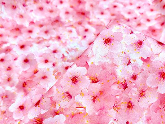 満開の桜のシーチングプリント