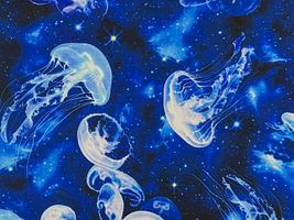 『mingswim(ミンスイ)』コズミックワルツブルー系