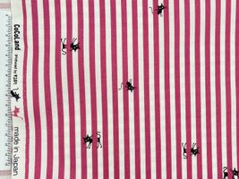 【現品限り特価】黒猫のオックスプリント「在庫限りのココランド」ピンク/ストライプ