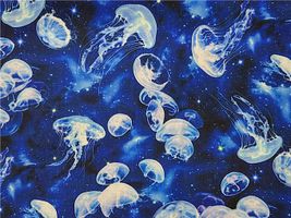 『mingswim(ミンスイ)』コズミックワルツ_拡大イメージ