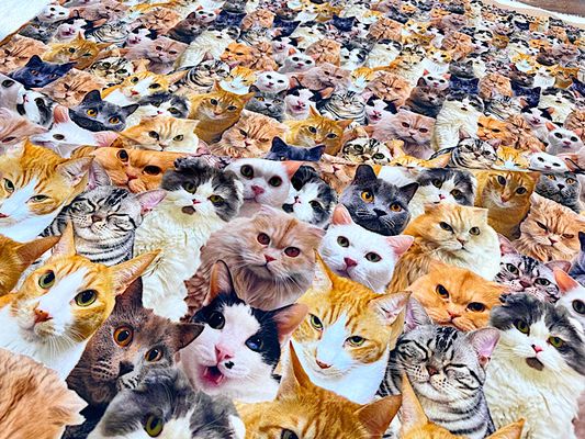 「猫」もりだくさんなシーチングプリント