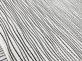 うねりのあるストライプのリップルプリント_拡大イメージ