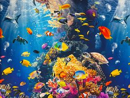 青い海のインクジェットシーチングプリント_拡大イメージ