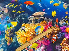 青い海のインクジェットシーチングプリント_拡大イメージ