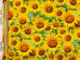 ひまわり畑のインクジェットシーチングプリントイエロー系