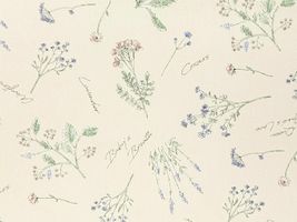 オックスプリント「フレンチボタニカル」ペールピンク