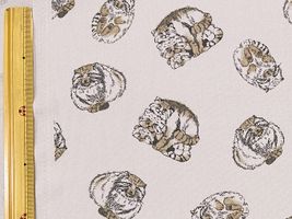 マヌルネコのオックスプリントソフトグレー