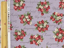 【現品限り特価】シーチングプリント un/no「クラシカルストロベリー」_拡大イメージ