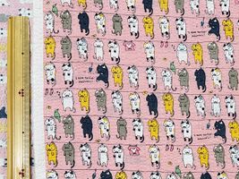【現品限り特価】コットンこばやし 洗濯ねこのリップルプリントピンク