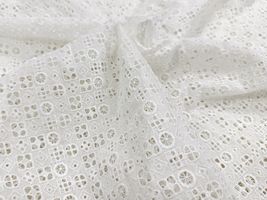 【現品限り特価】Exclusive Collection 細やかな刺繍のコットンローンレース_拡大イメージ