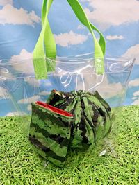 まるで本物のスイカ!?のようなシーチングパネルプリント_拡大イメージ