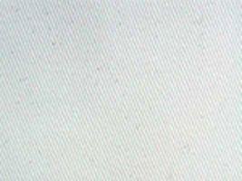 オリジナル チノクロス無地オフホワイト