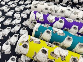 もふ猫ヒマラヤンのオックスプリント_拡大イメージ