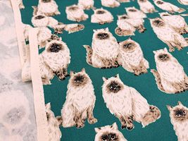 もふ猫ヒマラヤンのオックスプリント_拡大イメージ