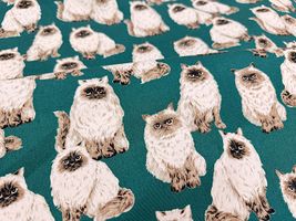 もふ猫ヒマラヤンのオックスプリント_拡大イメージ