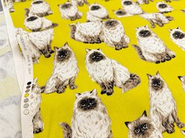 もふ猫ヒマラヤンのオックスプリント_拡大イメージ