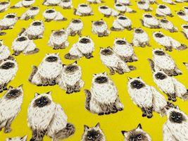 もふ猫ヒマラヤンのオックスプリント_拡大イメージ