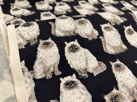 もふ猫ヒマラヤンのオックスプリント_拡大イメージ