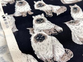 もふ猫ヒマラヤンのオックスプリント_拡大イメージ