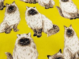 もふ猫ヒマラヤンのオックスプリントイエロー