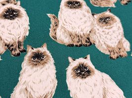 もふ猫ヒマラヤンのオックスプリントグリーン