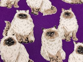 もふ猫ヒマラヤンのオックスプリントパープル