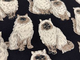 もふ猫ヒマラヤンのオックスプリントブラック