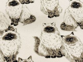 もふ猫ヒマラヤンのオックスプリントナチュラル