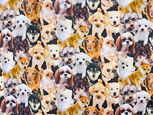 インクジェットシーチングプリント「集まれワンコの仲間たち」