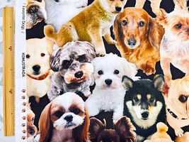 インクジェットシーチングプリント「集まれワンコの仲間たち」その他