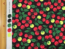 NEON TOMATOのオックスプリント_拡大イメージ