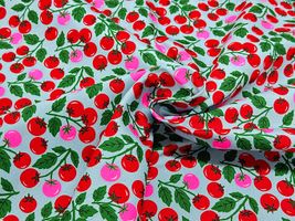 NEON TOMATOのオックスプリント_拡大イメージ