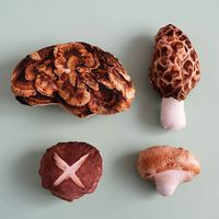 「おいしくてあやしい」キノコのパネルシーチングプリント_拡大イメージ