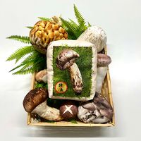 「おいしくてあやしい」キノコのパネルシーチングプリント_拡大イメージ